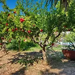 Villa Kamelia Votsi (Alonnisos)