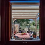 Kamelia * Вотси
