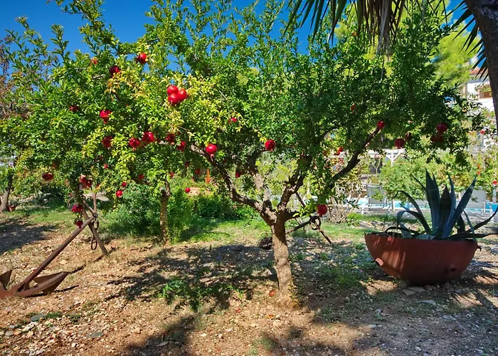 Villa Kamelia Votsi (Alonnisos)